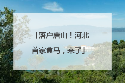 落户唐山！河北首家盒马，来了