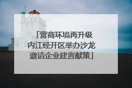 营商环境再升级 内江经开区举办沙龙邀请企业建言献策