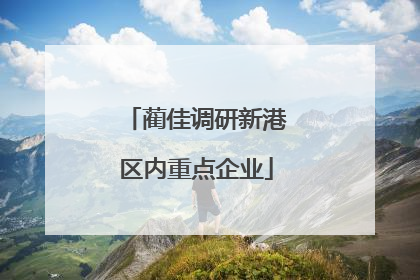 蔺佳调研新港区内重点企业