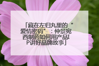 藏在左归丸里的“爱情密码”：仲景宛西制药如何用产品IP讲好品牌故事