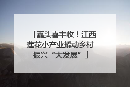 藠头喜丰收！江西莲花小产业撬动乡村振兴“大发展”