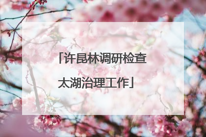 许昆林调研检查太湖治理工作