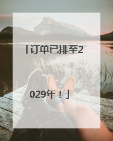 订单已排至2029年！