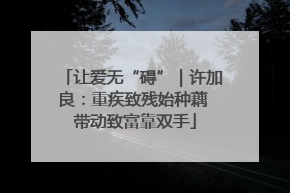 让爱无“碍”｜许加良：重疾致残始种藕 带动致富靠双手