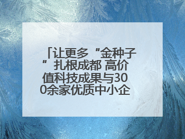 让更多“金种子”扎根成都 高价值科技成果与300余家优质中小企业精准对接