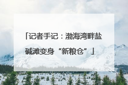 记者手记：渤海湾畔盐碱滩变身“新粮仓”