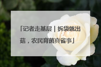 记者走基层｜拆袋就出菇，农民育菌真省事