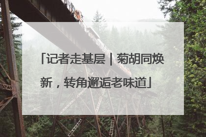 记者走基层｜菊胡同焕新，转角邂逅老味道