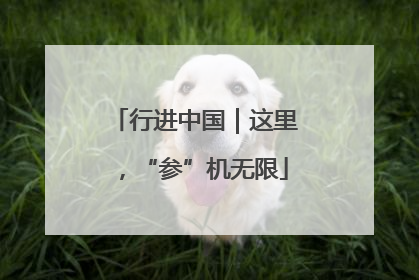 行进中国｜这里，“参”机无限