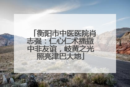 衡阳市中医医院肖志强：仁心仁术播撒中非友谊，岐黄之光照亮津巴大地