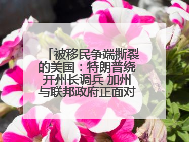 被移民争端撕裂的美国：特朗普绕开州长调兵 加州与联邦政府正面对抗丨封面头条