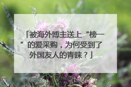 被海外博主送上“榜一”的爱采购，为何受到了外国友人的青睐？