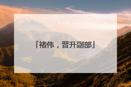 褚伟，晋升副部