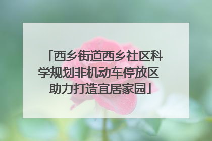 西乡街道西乡社区科学规划非机动车停放区 助力打造宜居家园