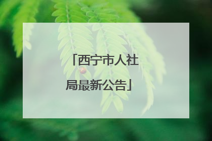 西宁市人社局最新公告