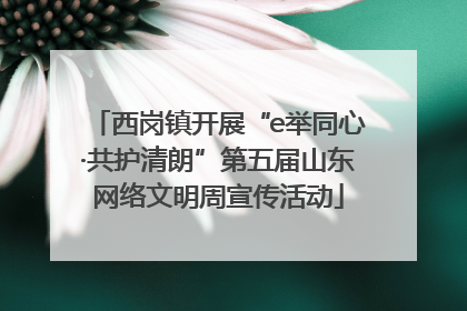 西岗镇开展“e举同心·共护清朗”第五届山东网络文明周宣传活动
