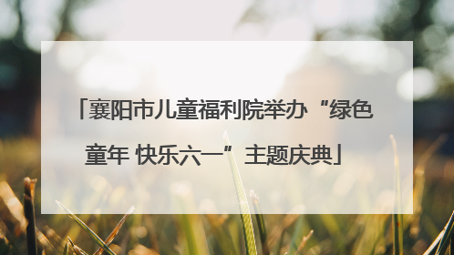 襄阳市儿童福利院举办“绿色童年 快乐六一”主题庆典