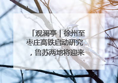观澜亭｜徐州至枣庄高铁启动研究，鲁苏两地将迎来交通经济双利好
