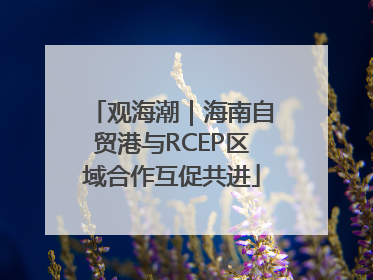 观海潮｜海南自贸港与RCEP区域合作互促共进