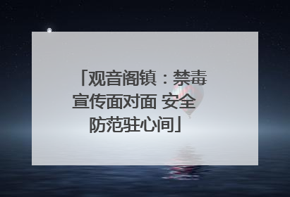 观音阁镇：禁毒宣传面对面 安全防范驻心间