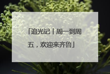 追光记丨周一到周五，欢迎来齐鲁