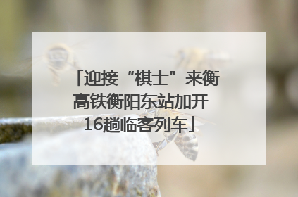 迎接“棋士”来衡 高铁衡阳东站加开16趟临客列车
