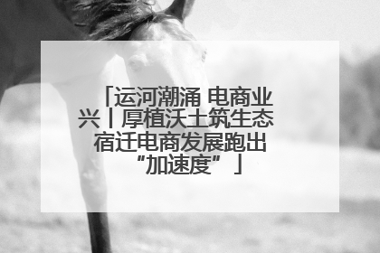 运河潮涌 电商业兴丨厚植沃土筑生态 宿迁电商发展跑出“加速度”