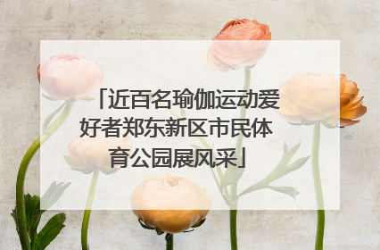 近百名瑜伽运动爱好者郑东新区市民体育公园展风采
