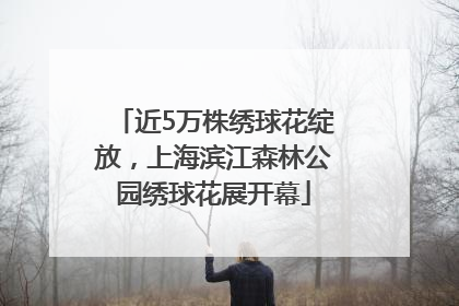 近5万株绣球花绽放，上海滨江森林公园绣球花展开幕