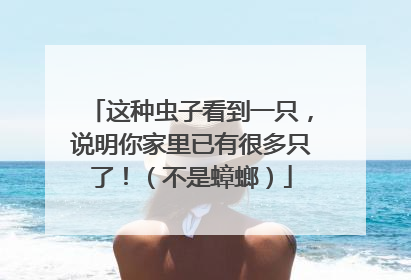 这种虫子看到一只，说明你家里已有很多只了！（不是蟑螂）