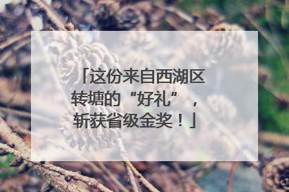 这份来自西湖区转塘的“好礼”，斩获省级金奖！