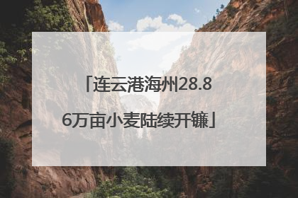 连云港海州28.86万亩小麦陆续开镰