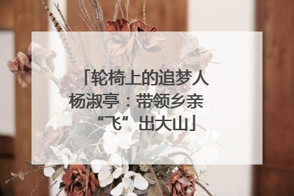 轮椅上的追梦人杨淑亭：带领乡亲“飞”出大山
