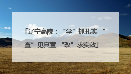 辽宁高院：“学”抓扎实 “查”见真章 “改”求实效