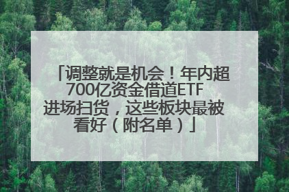 调整就是机会！年内超700亿资金借道ETF进场扫货，这些板块最被看好（附名单）