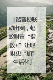 谐音梗联动出圈，蚂蚁财富“指数+”让理财更“加”生活化
