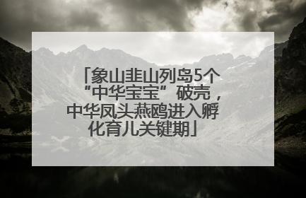 象山韭山列岛5个“中华宝宝”破壳，中华凤头燕鸥进入孵化育儿关键期