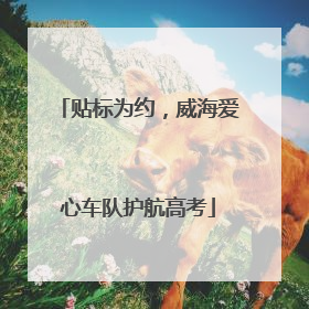 贴标为约，威海爱心车队护航高考