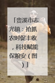 贵溪市志光镇：抢抓农时促丰收，科技赋能保粮安（图）