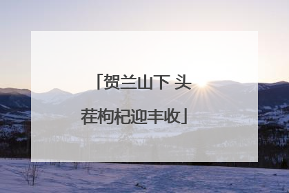 贺兰山下 头茬枸杞迎丰收