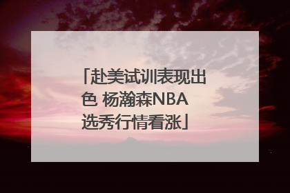 赴美试训表现出色 杨瀚森NBA选秀行情看涨