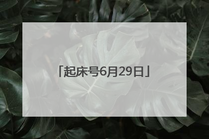 起床号6月29日
