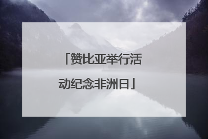 赞比亚举行活动纪念非洲日