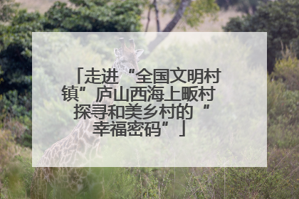 走进“全国文明村镇”庐山西海上畈村 探寻和美乡村的“幸福密码”