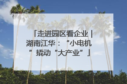 走进园区看企业｜湖南江华：“小电机”撬动“大产业”
