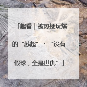 趣看｜被热梗玩爆的“苏超”：“没有假球，全是世仇”