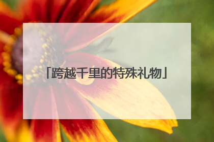跨越千里的特殊礼物