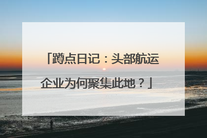 蹲点日记：头部航运企业为何聚集此地？
