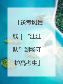 送考风景线｜“汪汪队”到场守护高考生