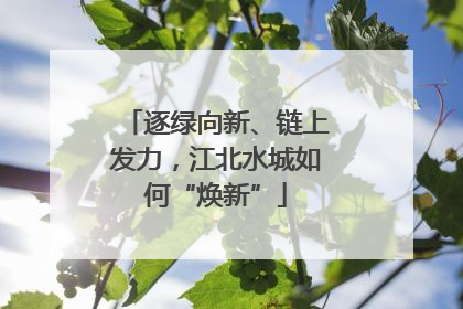 逐绿向新、链上发力，江北水城如何“焕新”